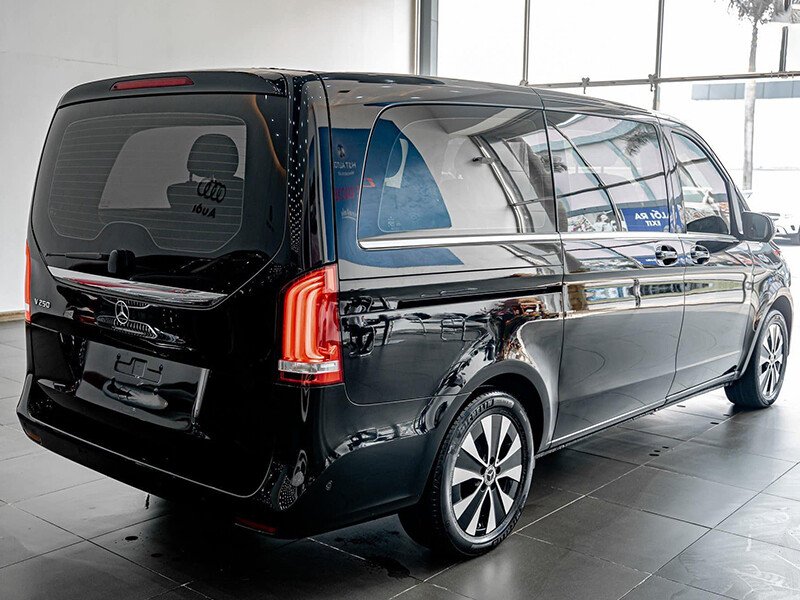 Mercedes-Benz V250 Luxury - Ảnh 5