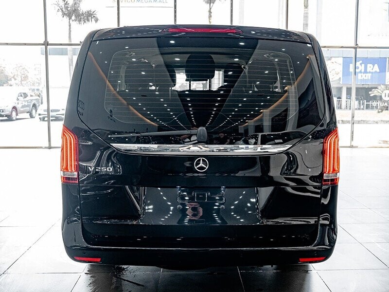 Mercedes-Benz V250 Luxury - Ảnh 6
